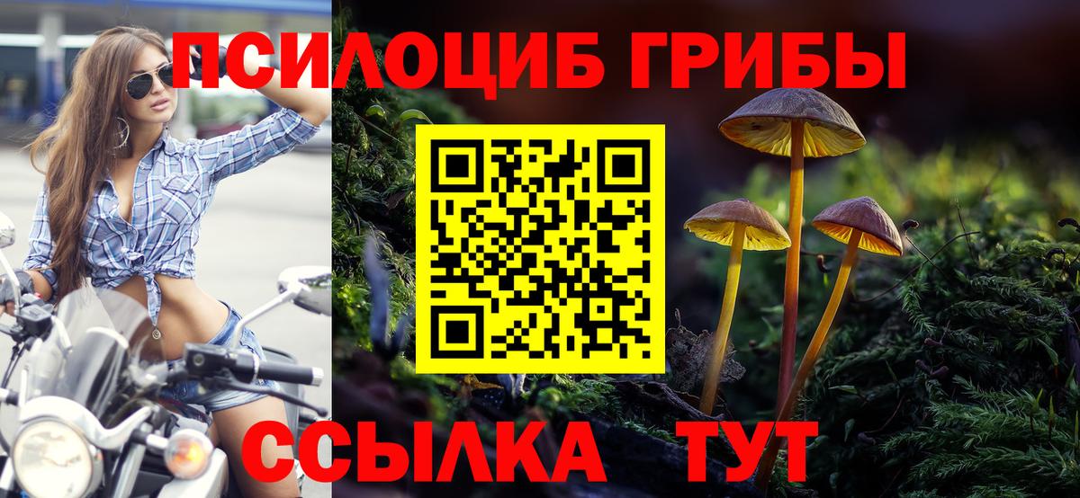 Галлюциногенные грибы Magic Shrooms Саратов