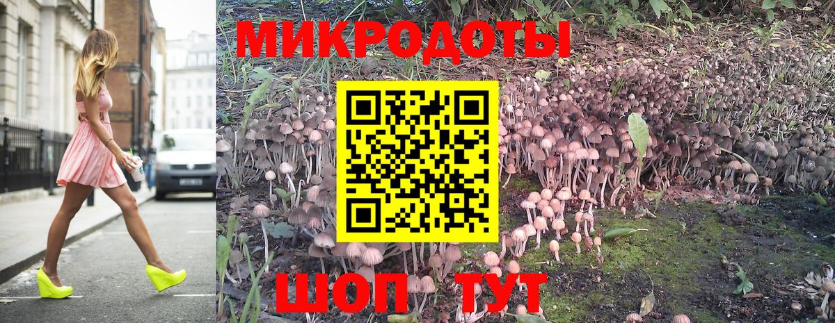 Саратов  Галлюциногенные грибы Magic Shrooms  Вход с VPN 